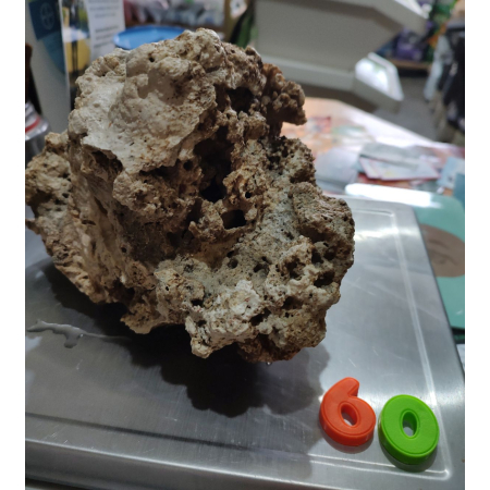 Żywa skała do akwarium morskiego - bryła nr. 60